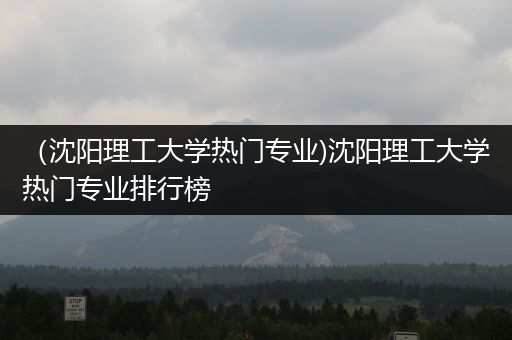 （沈阳理工大学热门专业)沈阳理工大学热门专业排行榜