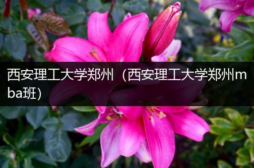 西安理工大学郑州（西安理工大学郑州mba班）