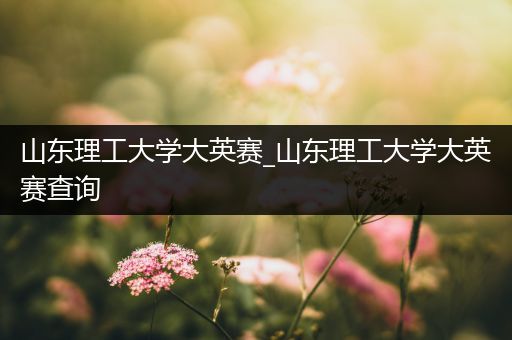 山东理工大学大英赛_山东理工大学大英赛查询