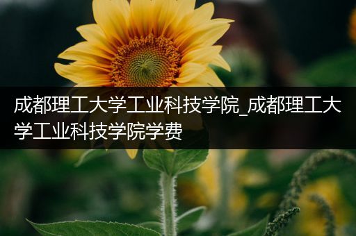 成都理工大学工业科技学院_成都理工大学工业科技学院学费