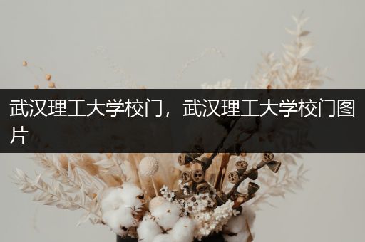 武汉理工大学校门，武汉理工大学校门图片