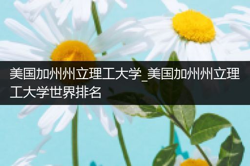美国加州州立理工大学_美国加州州立理工大学世界排名