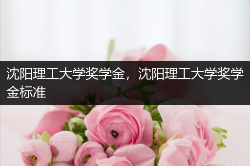 沈阳理工大学奖学金，沈阳理工大学奖学金标准