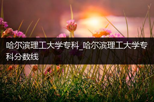 哈尔滨理工大学专科_哈尔滨理工大学专科分数线