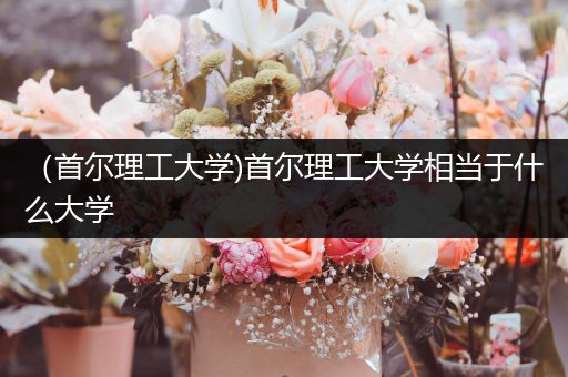 （首尔理工大学)首尔理工大学相当于什么大学
