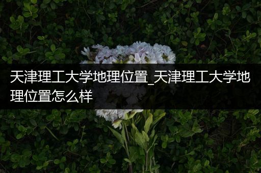 天津理工大学地理位置_天津理工大学地理位置怎么样