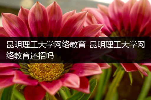 昆明理工大学网络教育-昆明理工大学网络教育还招吗