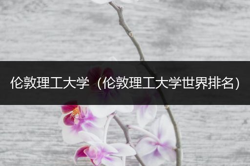 伦敦理工大学（伦敦理工大学世界排名）