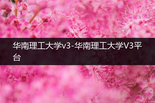 华南理工大学v3-华南理工大学V3平台