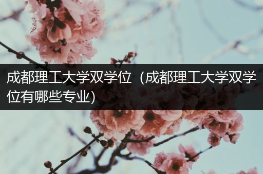 成都理工大学双学位（成都理工大学双学位有哪些专业）