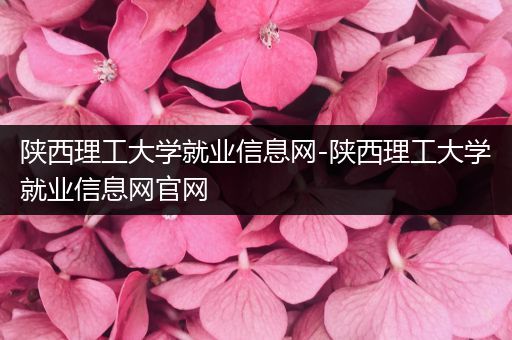 陕西理工大学就业信息网-陕西理工大学就业信息网官网