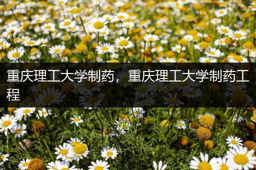 重庆理工大学制药，重庆理工大学制药工程