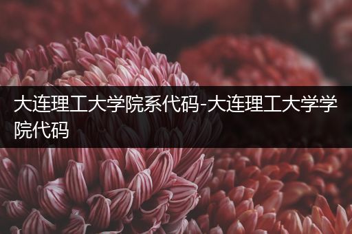 大连理工大学院系代码-大连理工大学学院代码