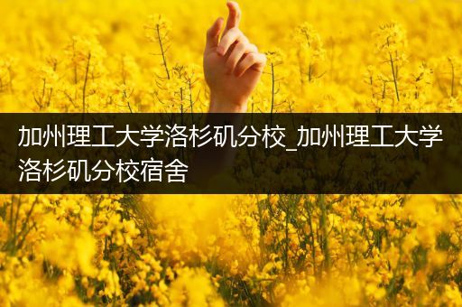 加州理工大学洛杉矶分校_加州理工大学洛杉矶分校宿舍