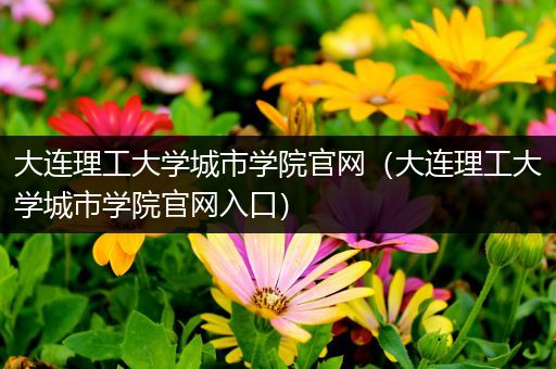 大连理工大学城市学院官网（大连理工大学城市学院官网入口）