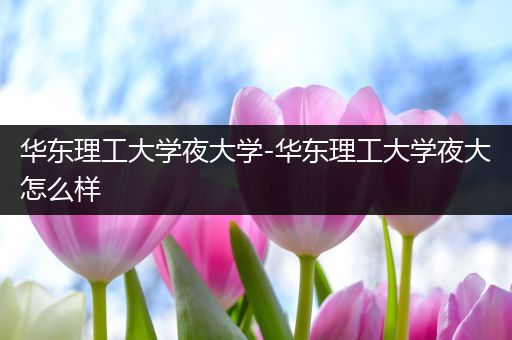华东理工大学夜大学-华东理工大学夜大怎么样