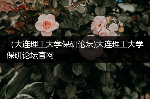 （大连理工大学保研论坛)大连理工大学保研论坛官网