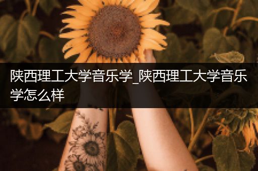 陕西理工大学音乐学_陕西理工大学音乐学怎么样