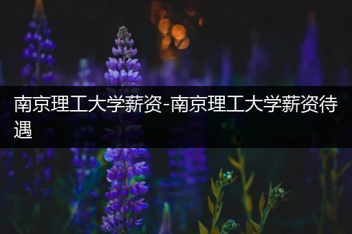 南京理工大学薪资-南京理工大学薪资待遇