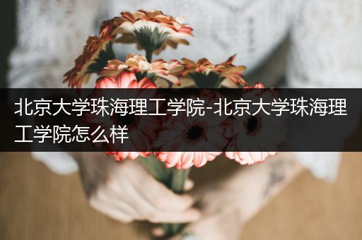 北京大学珠海理工学院-北京大学珠海理工学院怎么样