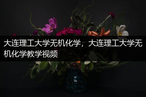 大连理工大学无机化学，大连理工大学无机化学教学视频