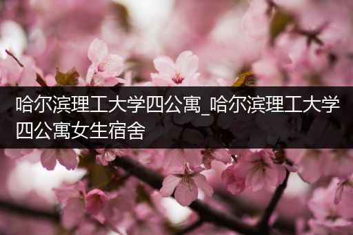 哈尔滨理工大学四公寓_哈尔滨理工大学四公寓女生宿舍