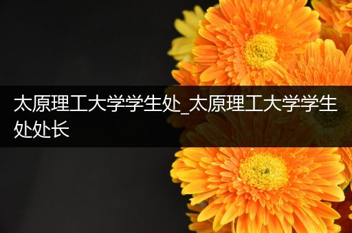 太原理工大学学生处_太原理工大学学生处处长