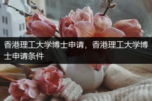 香港理工大学博士申请，香港理工大学博士申请条件