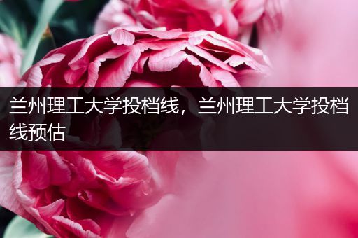 兰州理工大学投档线，兰州理工大学投档线预估