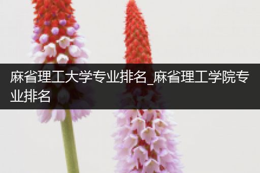 麻省理工大学专业排名_麻省理工学院专业排名