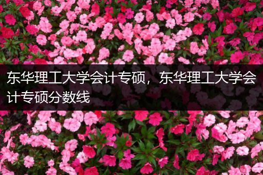 东华理工大学会计专硕，东华理工大学会计专硕分数线