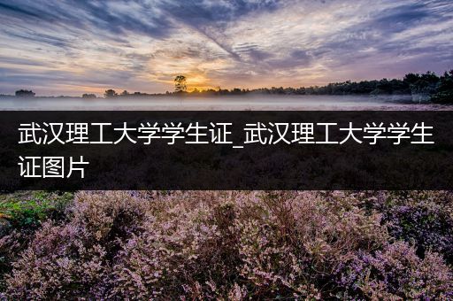 武汉理工大学学生证_武汉理工大学学生证图片