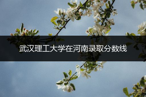 武汉理工大学在河南录取分数线
