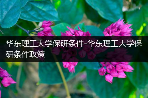 华东理工大学保研条件-华东理工大学保研条件政策
