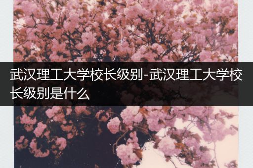 武汉理工大学校长级别-武汉理工大学校长级别是什么