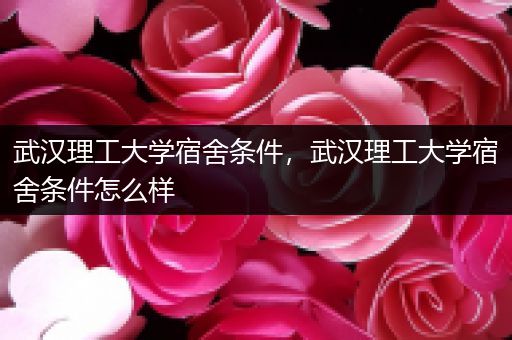 武汉理工大学宿舍条件，武汉理工大学宿舍条件怎么样
