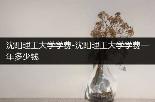 沈阳理工大学学费-沈阳理工大学学费一年多少钱