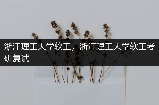 浙江理工大学软工，浙江理工大学软工考研复试