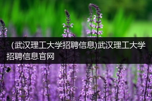 （武汉理工大学招聘信息)武汉理工大学招聘信息官网