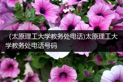 （太原理工大学教务处电话)太原理工大学教务处电话号码