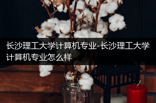 长沙理工大学计算机专业-长沙理工大学计算机专业怎么样