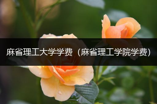 麻省理工大学学费（麻省理工学院学费）
