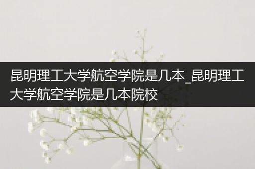 昆明理工大学航空学院是几本_昆明理工大学航空学院是几本院校