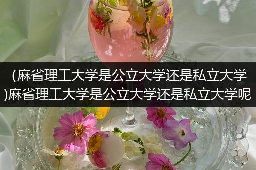 （麻省理工大学是公立大学还是私立大学)麻省理工大学是公立大学还是私立大学呢