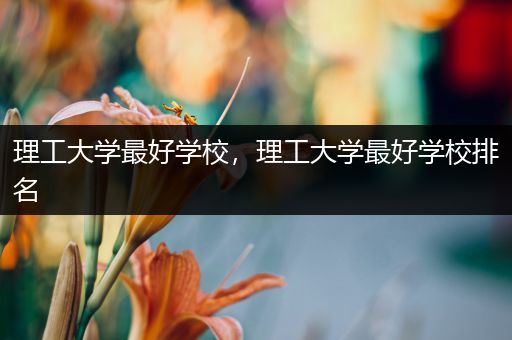 理工大学最好学校，理工大学最好学校排名