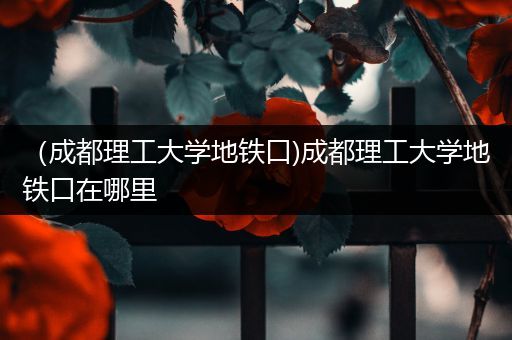 （成都理工大学地铁口)成都理工大学地铁口在哪里