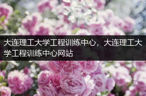 大连理工大学工程训练中心，大连理工大学工程训练中心网站