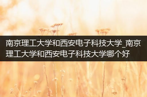 南京理工大学和西安电子科技大学_南京理工大学和西安电子科技大学哪个好
