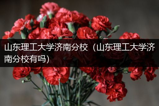 山东理工大学济南分校（山东理工大学济南分校有吗）