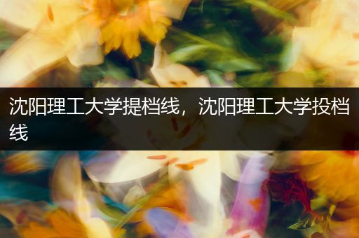 沈阳理工大学提档线，沈阳理工大学投档线